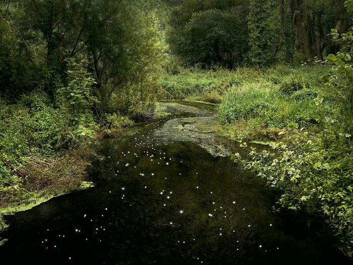 I Combined Light And Water To Create These Images About Rare Chalk Streams (12 Pics)