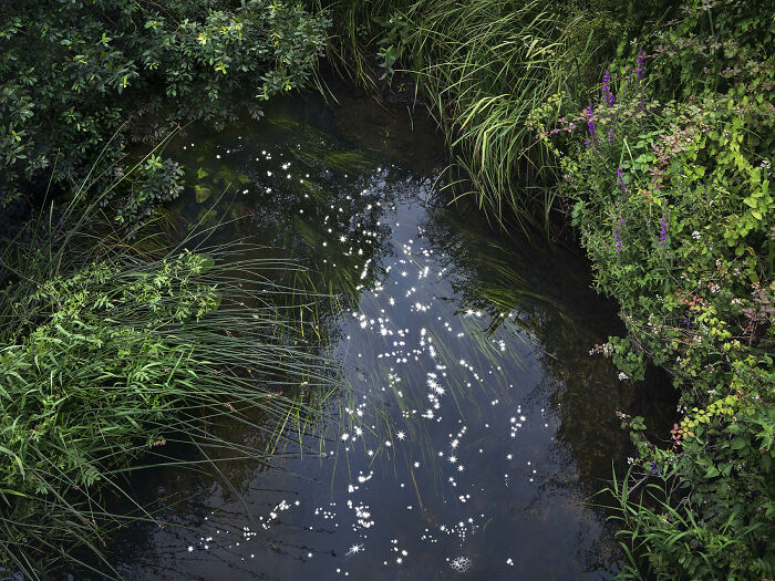 I Combined Light And Water To Create These Images About Rare Chalk Streams (12 Pics)