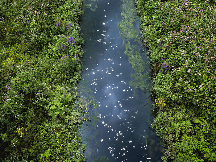 I Combined Light And Water To Create These Images About Rare Chalk Streams (12 Pics)