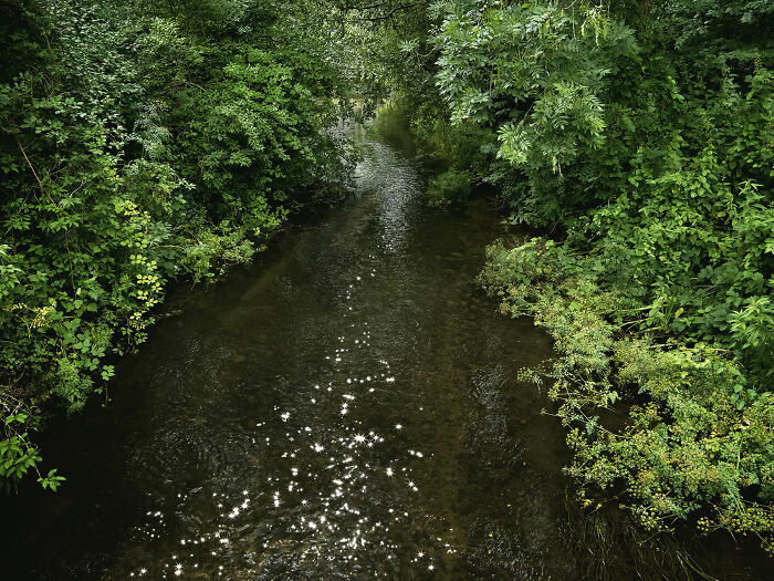 I Combined Light And Water To Create These Images About Rare Chalk Streams (12 Pics)