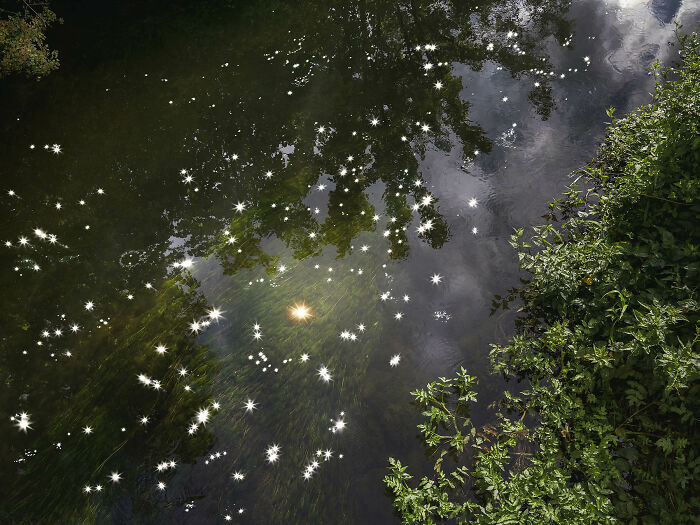 I Combined Light And Water To Create These Images About Rare Chalk Streams (12 Pics)