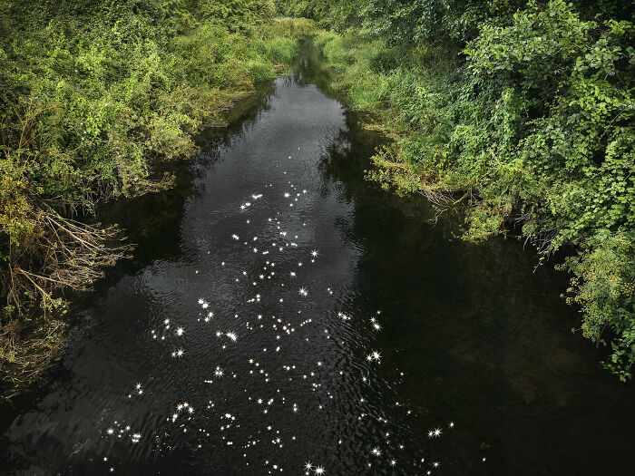 I Combined Light And Water To Create These Images About Rare Chalk Streams (12 Pics)