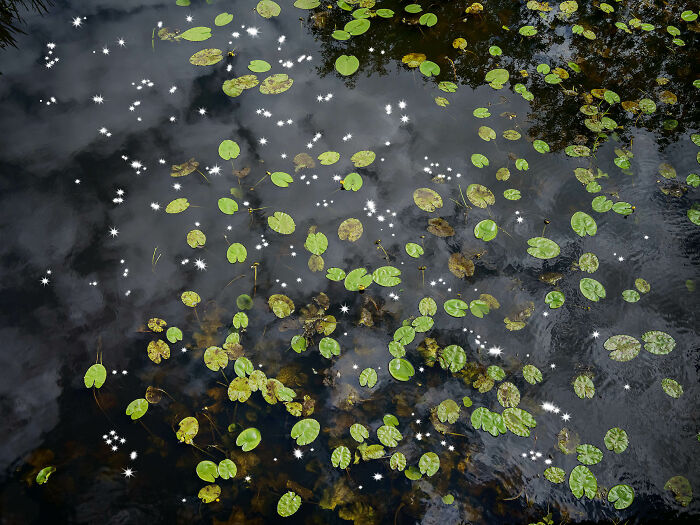 I Combined Light And Water To Create These Images About Rare Chalk Streams (12 Pics)