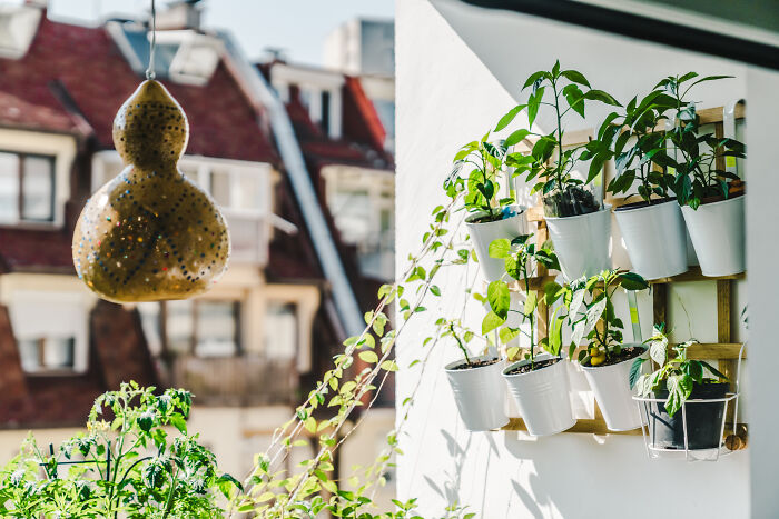 "Inka V Gradinka": My Balcony Garden That Might Inspire You To Make Your Own (14 Pics)