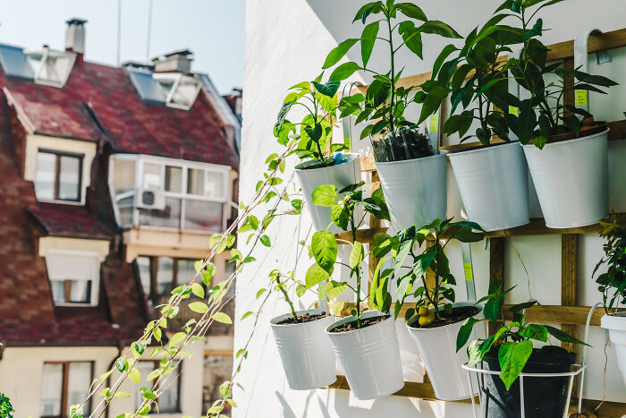 "Inka V Gradinka": My Balcony Garden That Might Inspire You To Make Your Own (14 Pics)