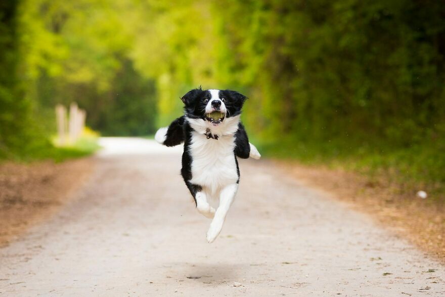 My Guy Just Ran A Marathon. He Got An A Spot In The Running Olympics