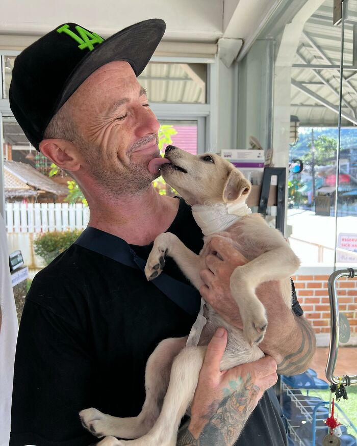 Man Finds His True Happiness Saving Stray Dogs In Thailand (20 Pics ...