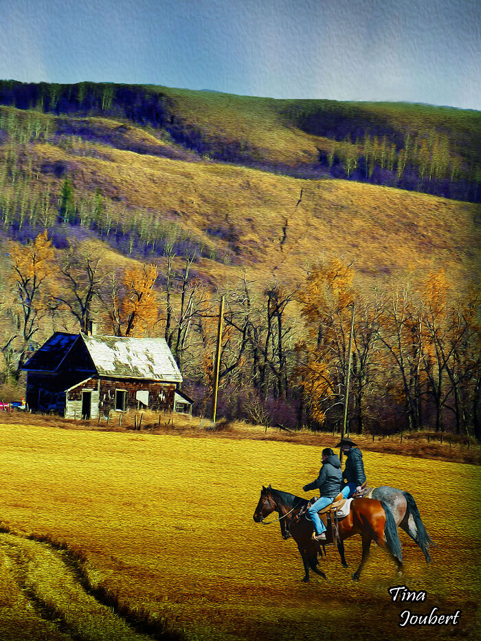 Riding The Golden Feilds