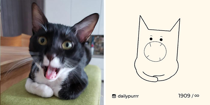 30 Of The Funniest Internet-Famous Cat Pics Get Illustrated By Daily ...