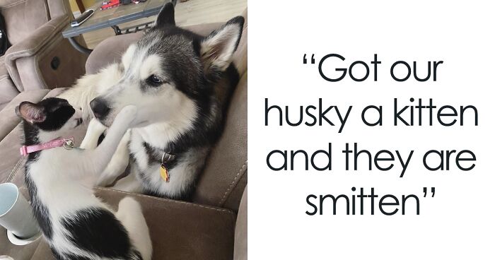 63 People Who Proved That Adopting A Pet Can Be The Best Decision Ever (June Edition)