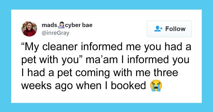 Woman Shares Awful Airbnb Experience After Host Tried To Claim Fees For Pet Hair, Despite Pets Being Allowed On The Listing