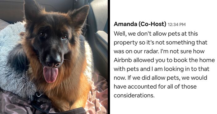 Woman Shares How Host Tried To Charge Her For Her Dog At A 'Pet-Friendly' Rental, Starts Yet Another Airbnb Roasting Session On Twitter