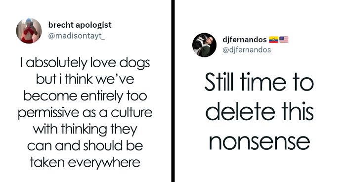 “I’m Sorry, But Unless It’s A Trained Service Dog, Your Dog Simply Does Not Need To Come With You On All Your Errands”: Woman’s Thread About Dogs Goes Viral On Twitter