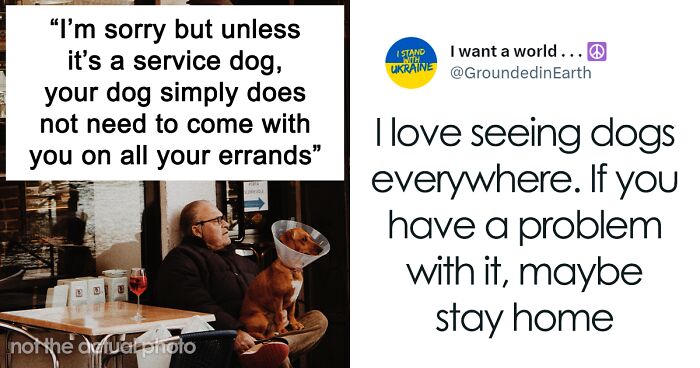 Mixed Reactions Flow In After Woman Tweets Her Disdain For Dog Owners Bringing Their Pets Everywhere