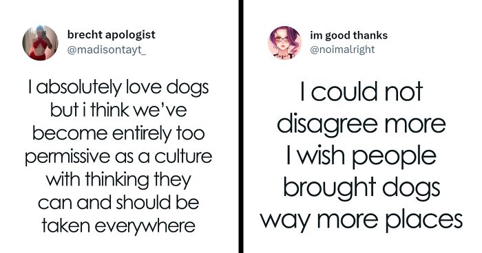 People On Twitter Are Arguing Whether We Should Be Bringing Our Dogs Everywhere, And Both Sides Have Good Points