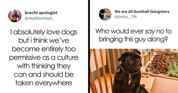 Woman Goes Viral On Twitter After Revealing She Hates How People Take Their Dogs Literally Everywhere