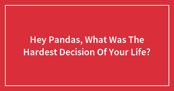 Hey Pandas, What Was The Hardest Decision Of Your Life? (Closed)