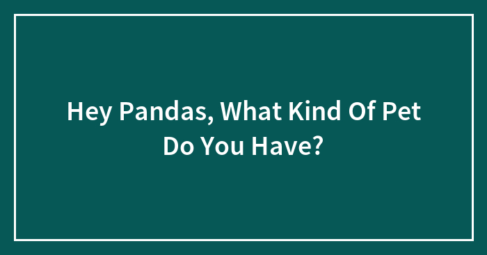 Hey Pandas, What Kind Of Pet Do You Have? (Closed)