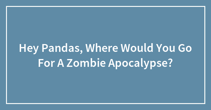 Hey Pandas, Where Would You Go For A Zombie Apocalypse?