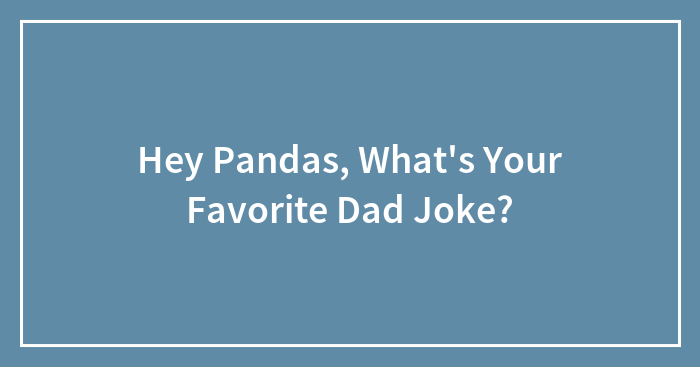 Hey Pandas, What’s Your Favorite Dad Joke? (Closed)