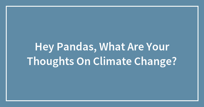 Hey Pandas, What Are Your Thoughts On Climate Change? (Closed)