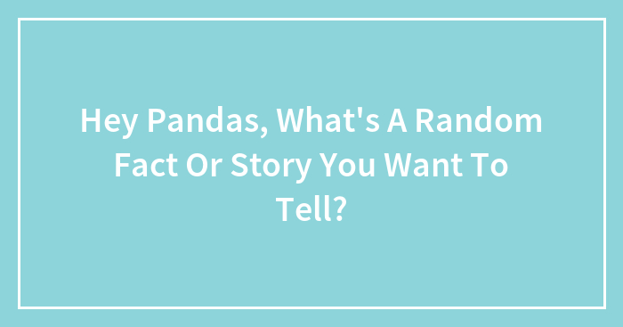 Hey Pandas, What’s A Random Fact Or Story You Want To Tell? (Closed)