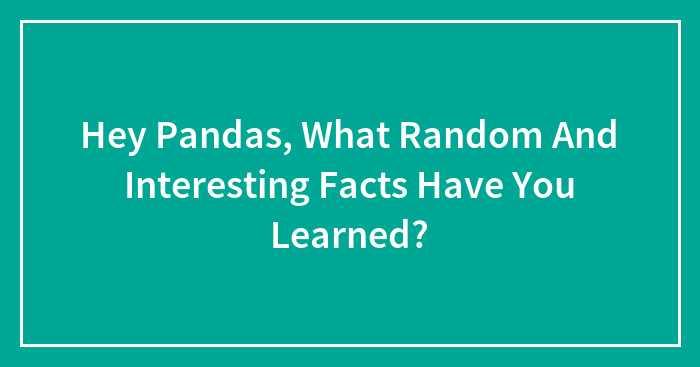 Hey Pandas, What Random And Interesting Facts Have You Learned? (Closed)