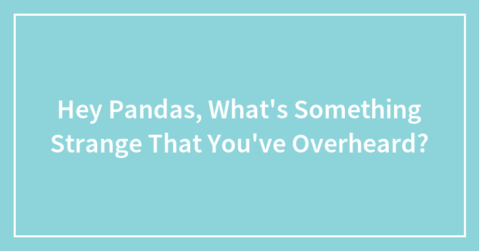 Hey Pandas, What’s Something Strange That You’ve Overheard? (Closed)