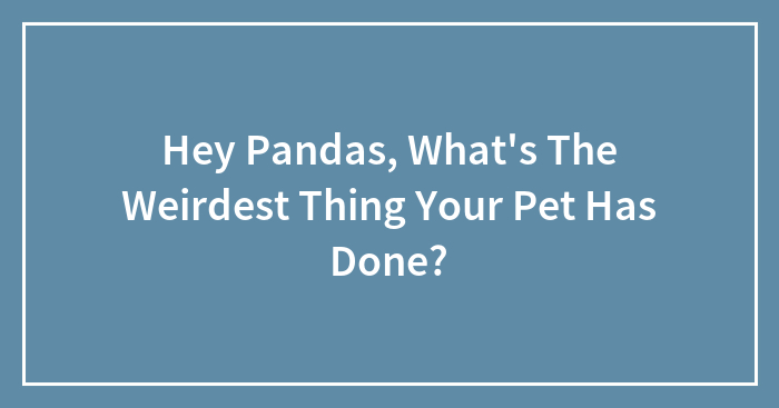 Hey Pandas, What’s The Weirdest Thing Your Pet Has Done? (Closed)