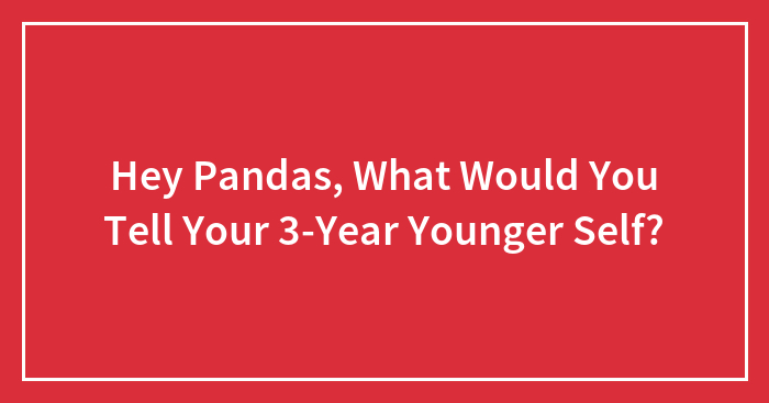 Hey Pandas, What Would You Tell Your 3-Year Younger Self? (Closed)