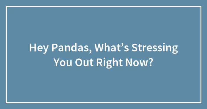 Hey Pandas, What’s Stressing You Out Right Now? (Closed)