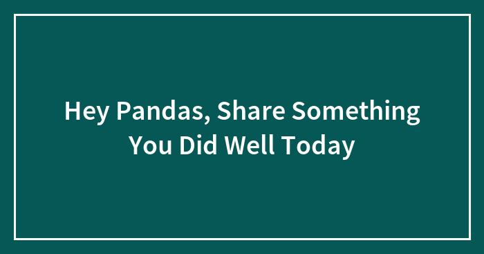 Hey Pandas, Share Something You Did Well Today (Closed)