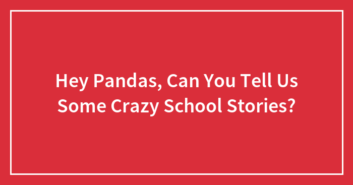 Hey Pandas, Can You Tell Us Some Crazy School Stories? (Closed)