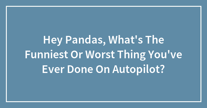 Hey Pandas, What’s The Funniest Or Worst Thing You’ve Ever Done On Autopilot? (Closed)