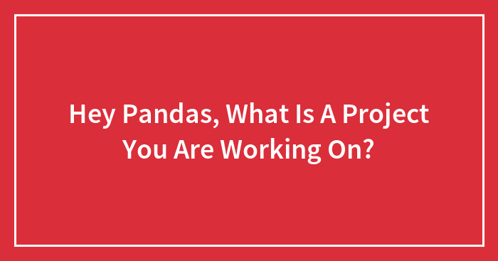 Hey Pandas, What Is A Project You Are Working On? (Closed)