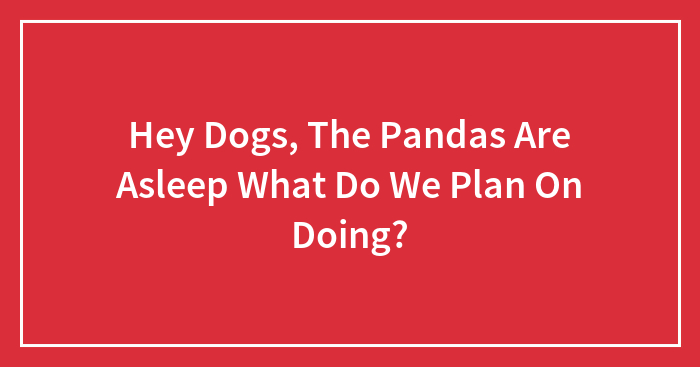 Hey Dogs, The Pandas Are Asleep What Do We Plan On Doing? (Closed)