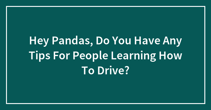 Hey Pandas, Do You Have Any Tips For People Learning How To Drive? (Closed)