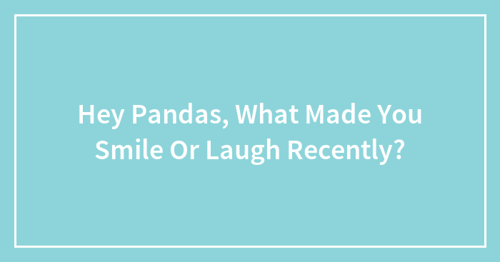 Hey Pandas, What Made You Smile Or Laugh Recently?