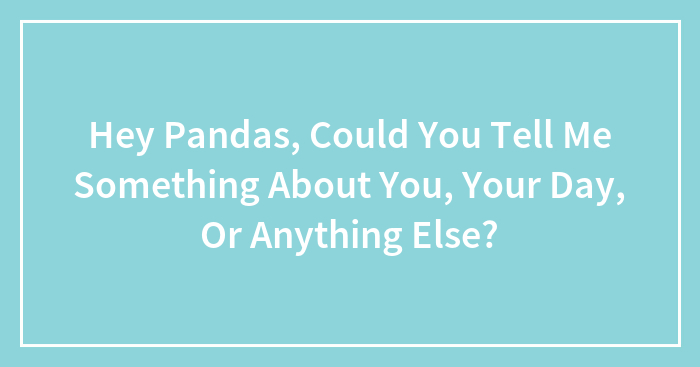 Hey Pandas, Could You Tell Me Something About You, Your Day, Or Anything Else?