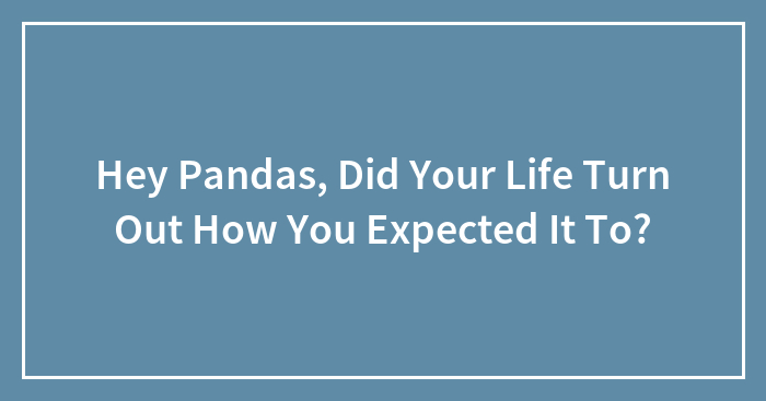 Hey Pandas, Did Your Life Turn Out How You Expected It To? (Closed)