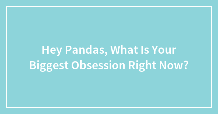 Hey Pandas, What Is Your Biggest Obsession Right Now? (Closed)