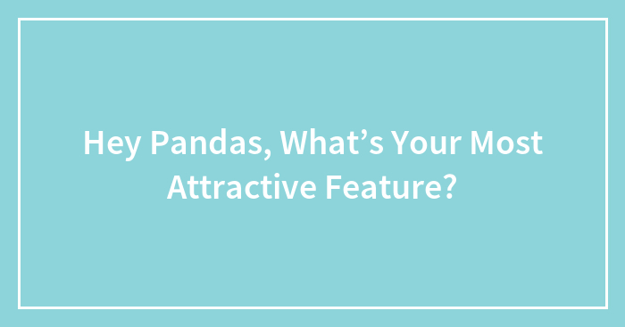 Hey Pandas, What’s Your Most Attractive Feature? (Closed)