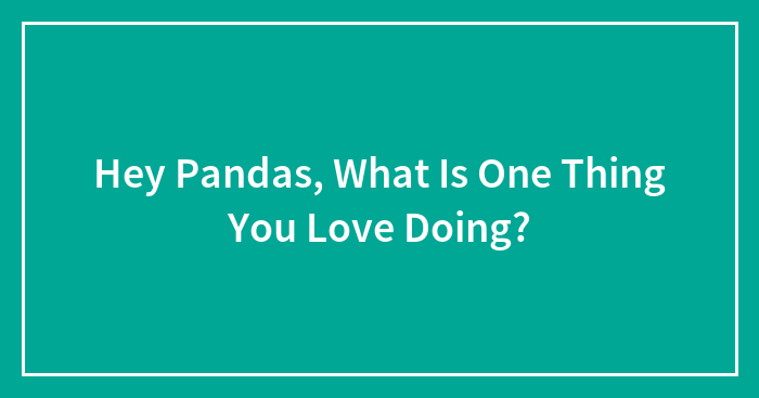 Hey Pandas, What Is One Thing You Love Doing? (Closed)