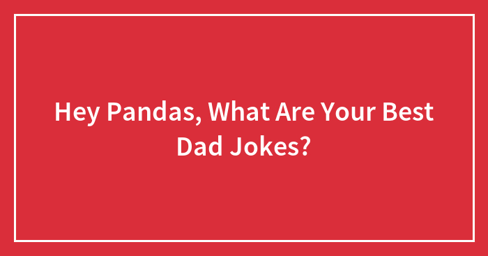 Hey Pandas, What Are Your Best Dad Jokes? (Closed)