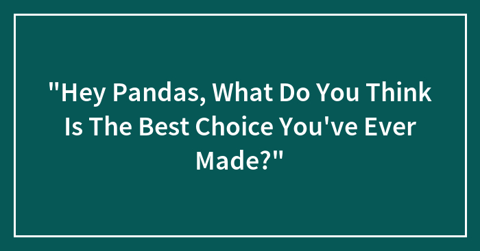 Hey Pandas, What Do You Think Was The Best Choice You’ve Ever Made?” (Closed)