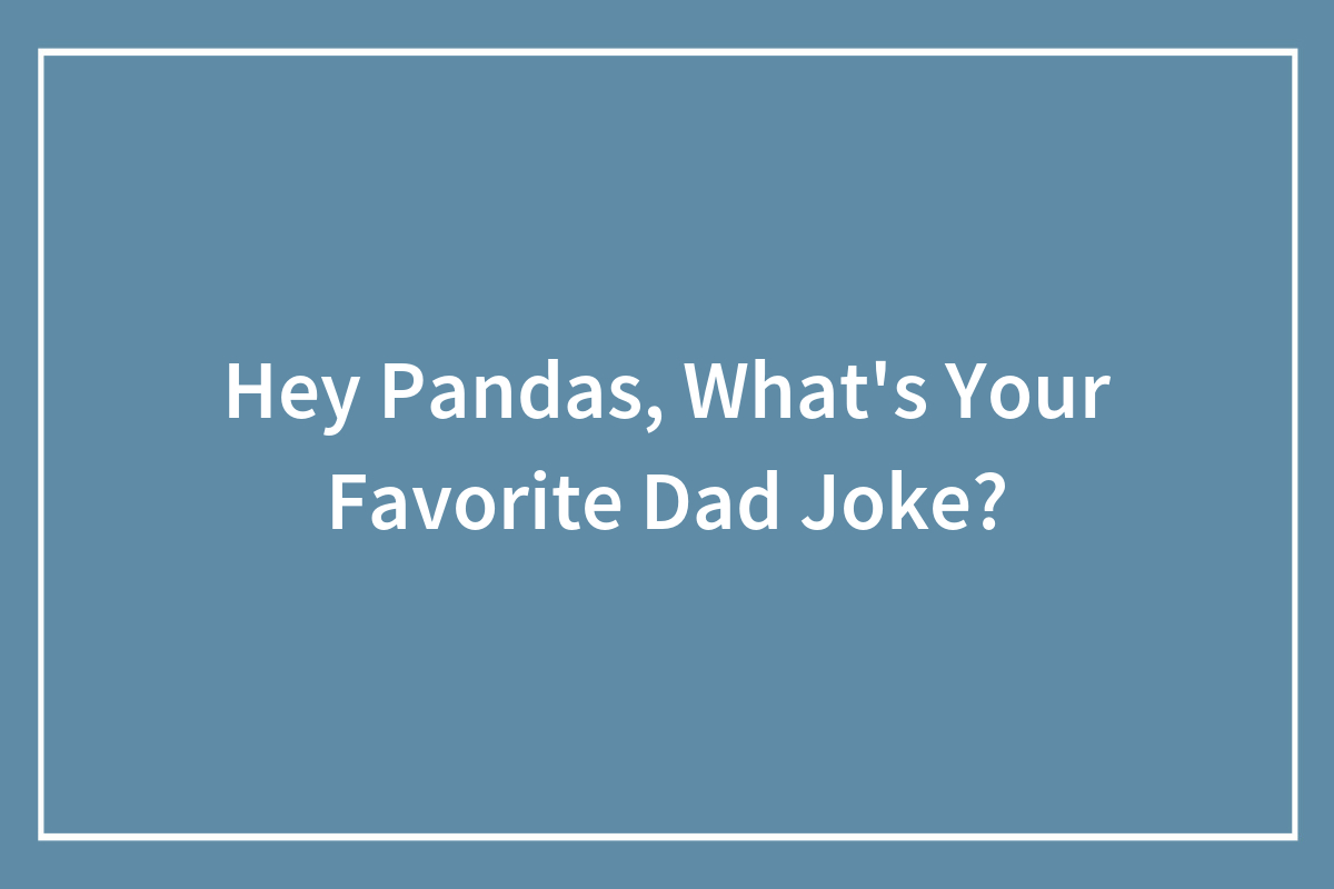 Hey Pandas Whats Your Favorite Dad Joke Closed Bored Panda