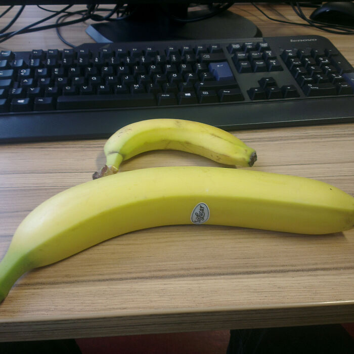 Hey Pandas, Post Your Favourite “Banana For Scale” Images (Closed)