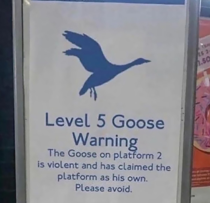 Cursed meme of warning goose sign