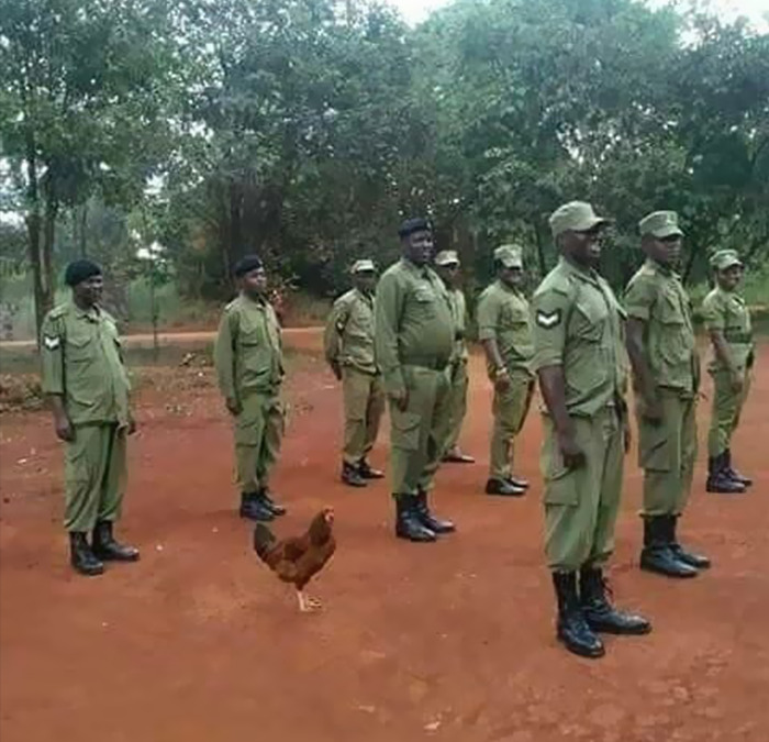 Cursed meme of army with chicken