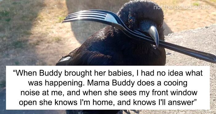 Woman Befriends Crow For Over 3 Years Until One Day She Brings Her Babies To Their Regular Hangout